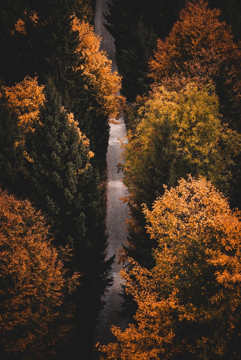 Walking Meditation
